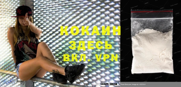 винт Алзамай