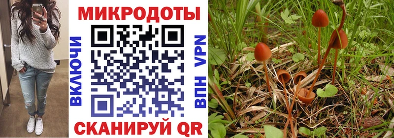 Псилоцибиновые грибы прущие грибы  Отрадная 